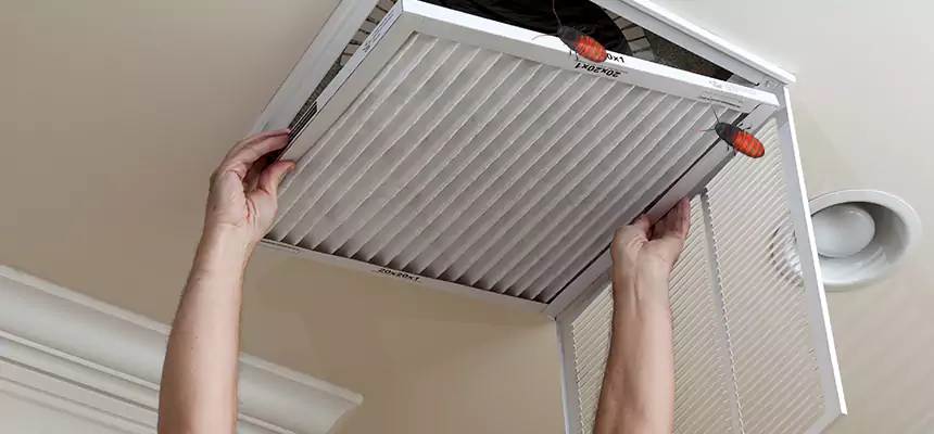 Preventive Cockroach-Proofing for Ducts in Round Lake Beach