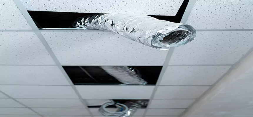 Affordable HVAC Sanitizing After Pest Removal in Round Lake Beach