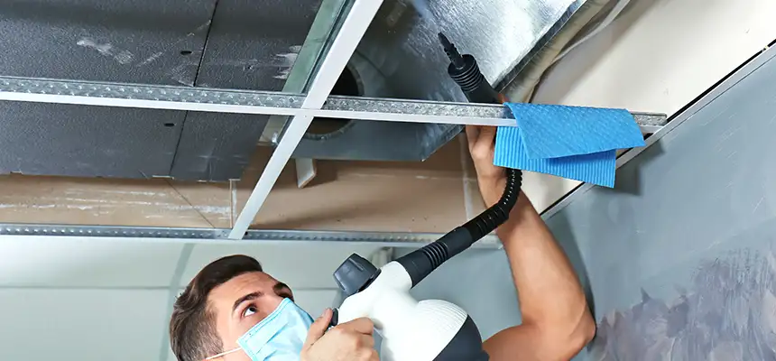 Our Air Duct Rodent Removal Services in Round Lake Beach, IL