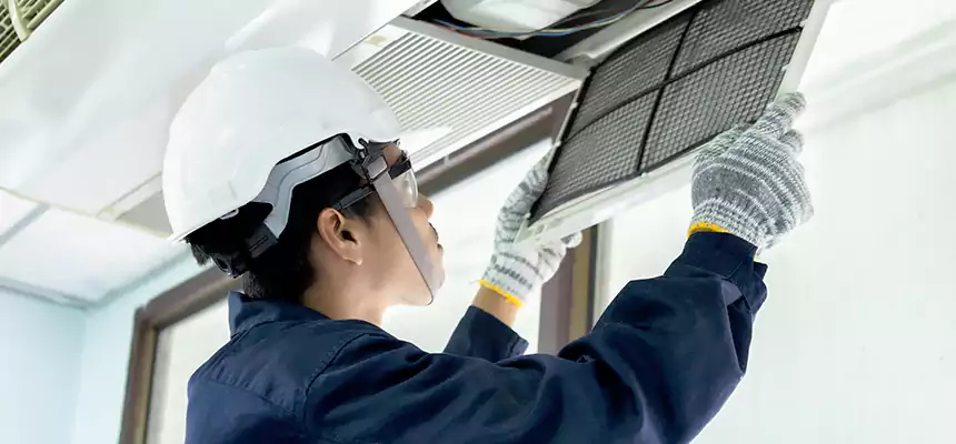 Our Mold & Mildew Removal from Air Ducts Services in Round Lake Beach, IL