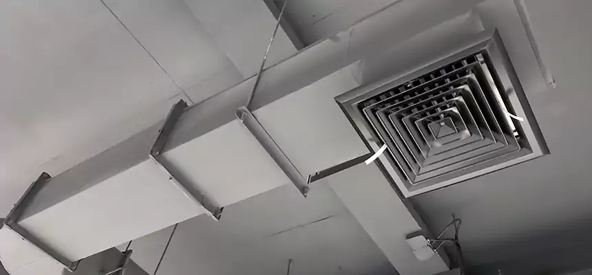 Our Pest Removal From Ducts Services in Round Lake Beach, IL