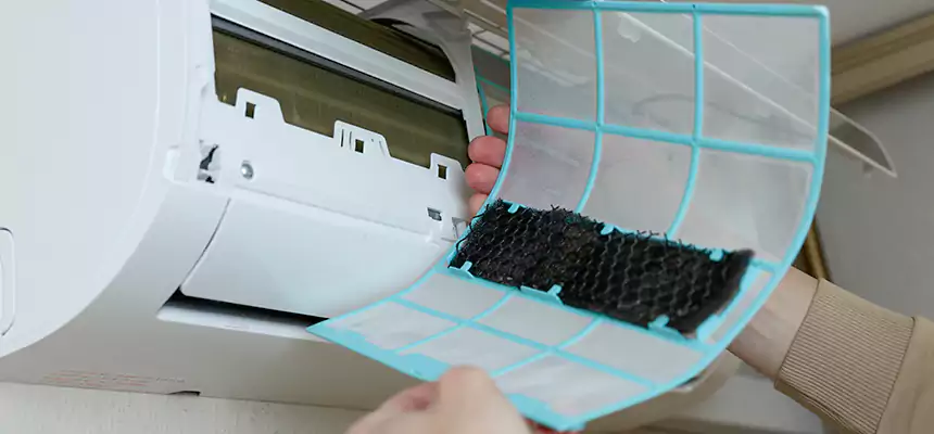 Gentle Ductwork Odor-Control Pet Dander Duct Cleaning in Round Lake Beach, IL