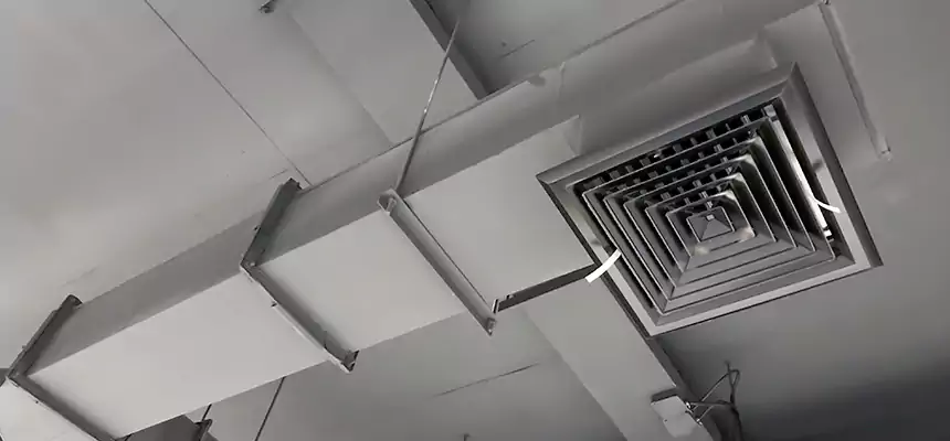 Our Rodent Droppings In Vents Services in Round Lake Beach, IL