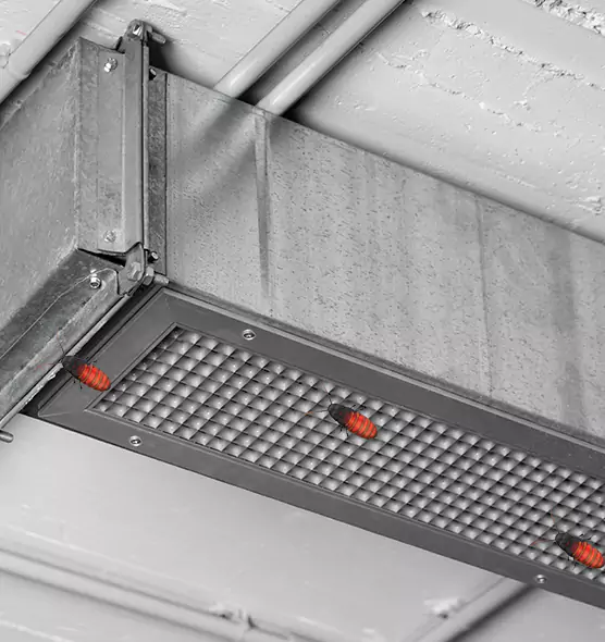Affordable Insect Removal from Air Ducts in Round Lake Beach, IL