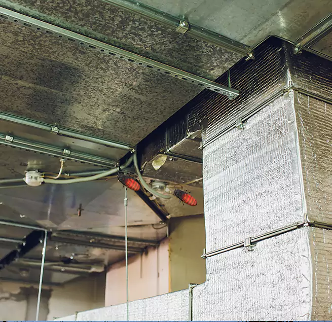 Why Homeowners & Businesses Trust Us in Round Lake Beach, IL?