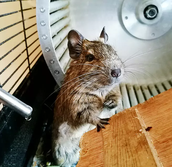 Why Homeowners & Businesses Trust Us Round Lake Beach, IL